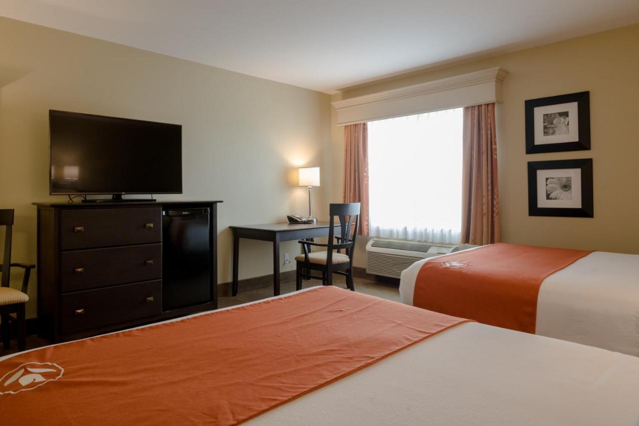 Amsterdam Inn & Suites Сассекс Екстер'єр фото