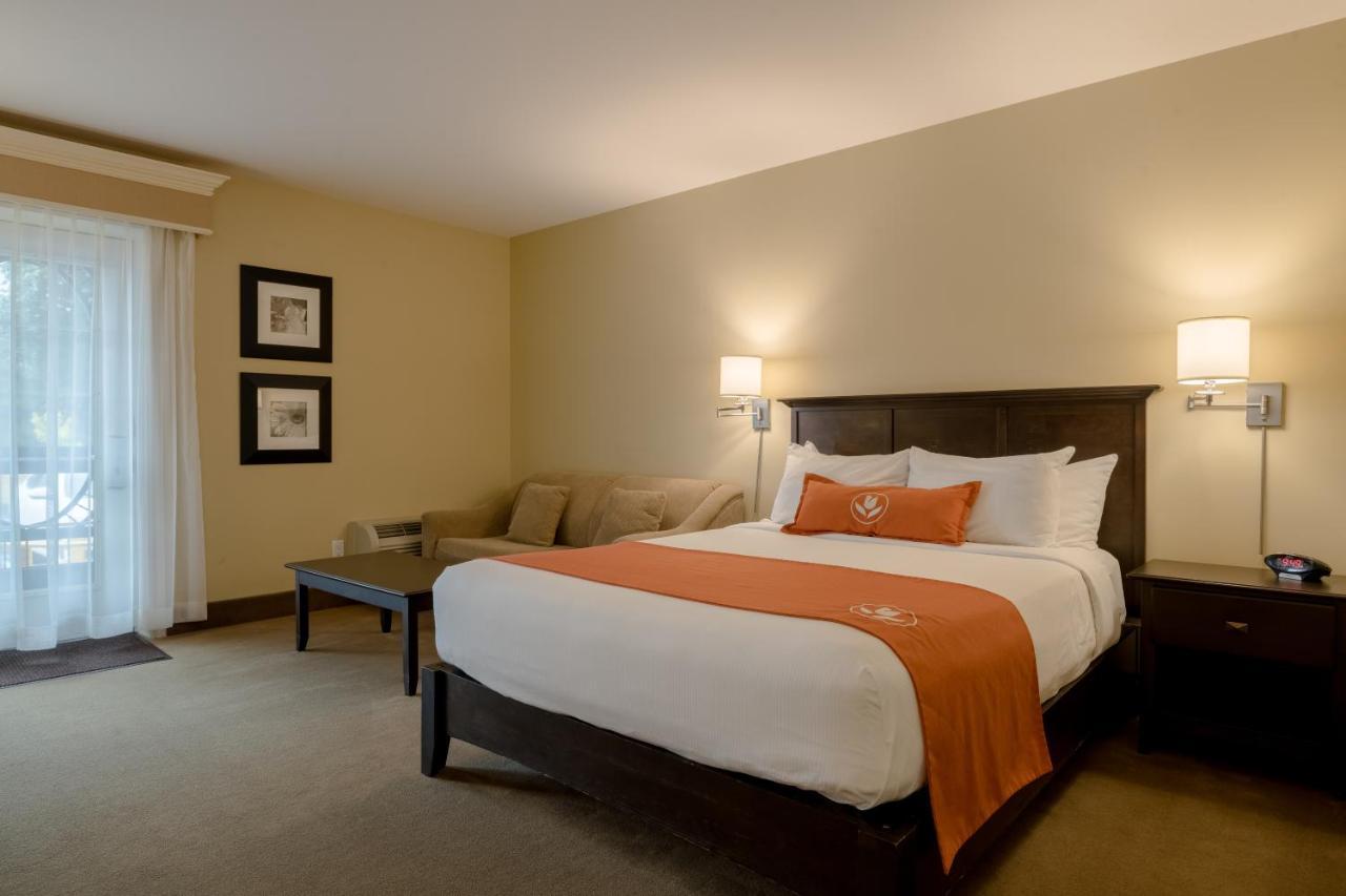 Amsterdam Inn & Suites Сассекс Екстер'єр фото
