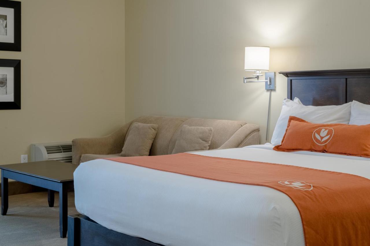 Amsterdam Inn & Suites Сассекс Екстер'єр фото
