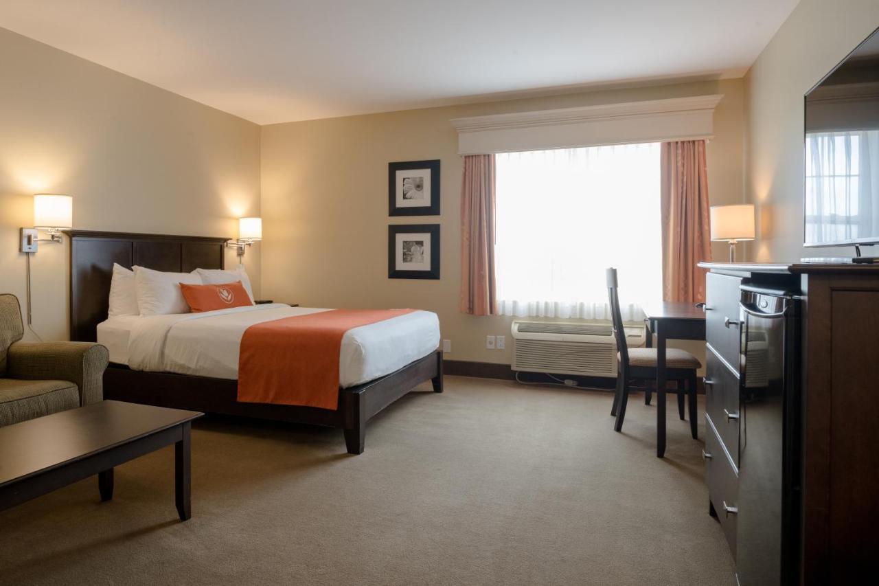 Amsterdam Inn & Suites Сассекс Екстер'єр фото