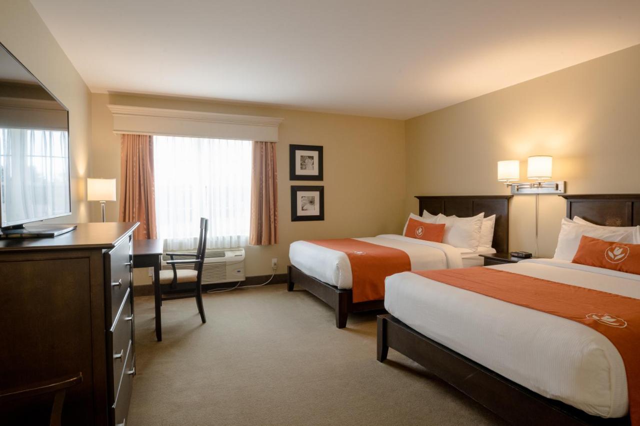 Amsterdam Inn & Suites Сассекс Екстер'єр фото