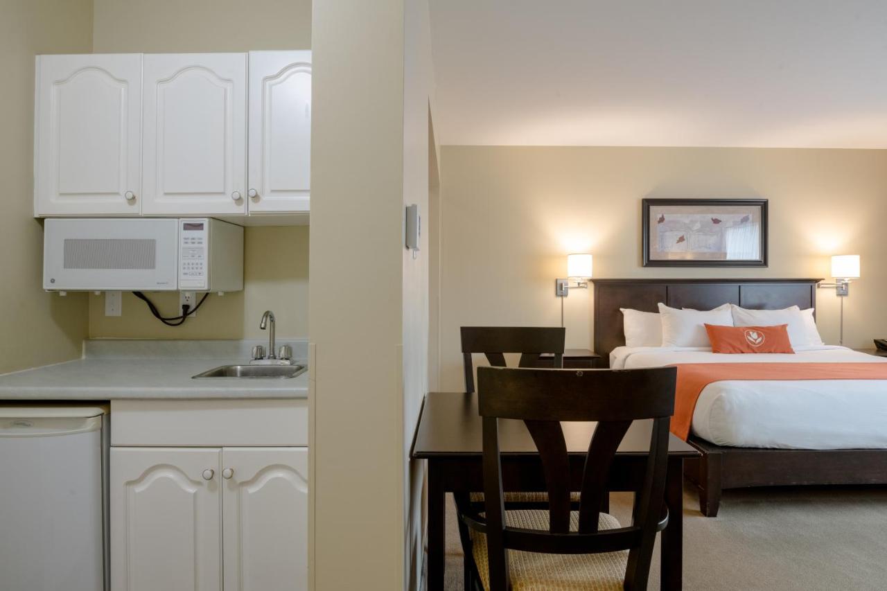 Amsterdam Inn & Suites Сассекс Екстер'єр фото