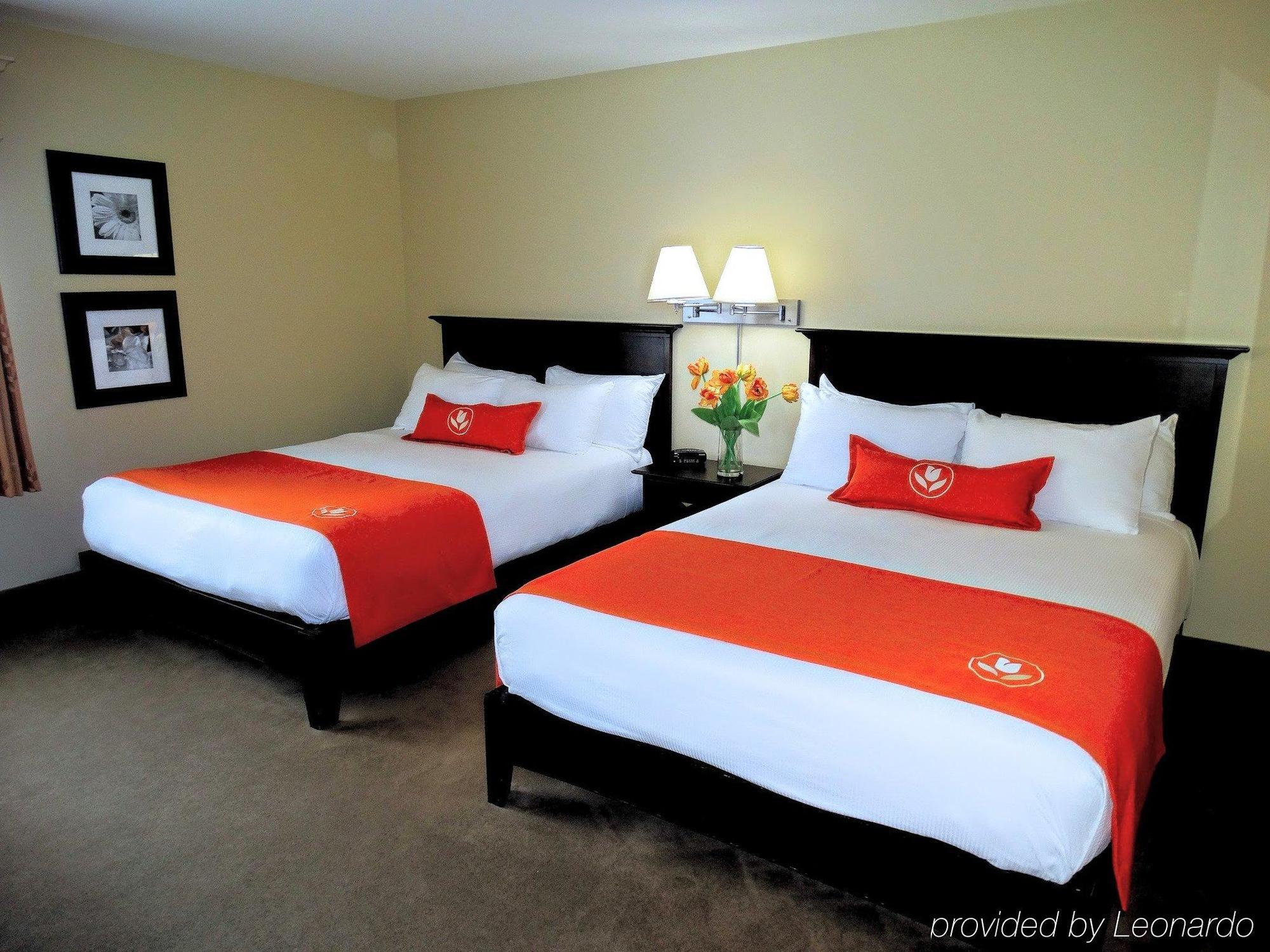 Amsterdam Inn & Suites Сассекс Екстер'єр фото