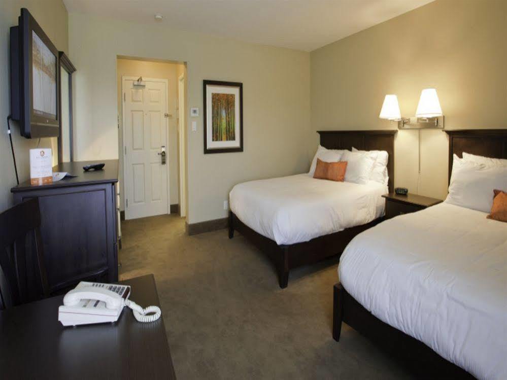 Amsterdam Inn & Suites Сассекс Екстер'єр фото