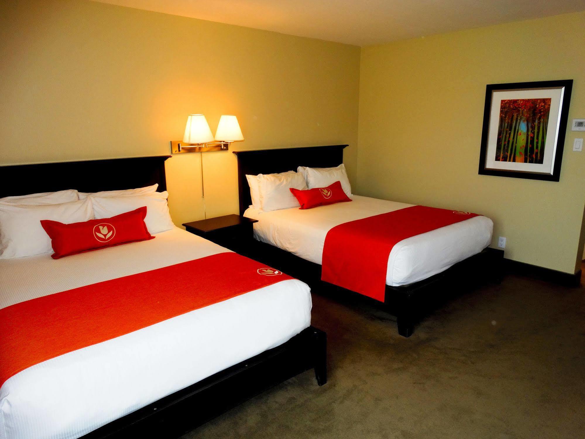 Amsterdam Inn & Suites Сассекс Екстер'єр фото